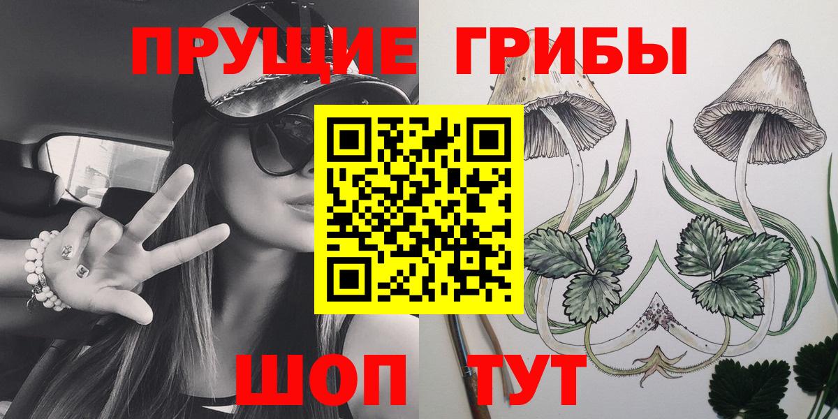Галлюциногенные грибы Psilocybine cubensis  Галлюциногенные грибы Psilocybe  Вход с VPN  Луга 