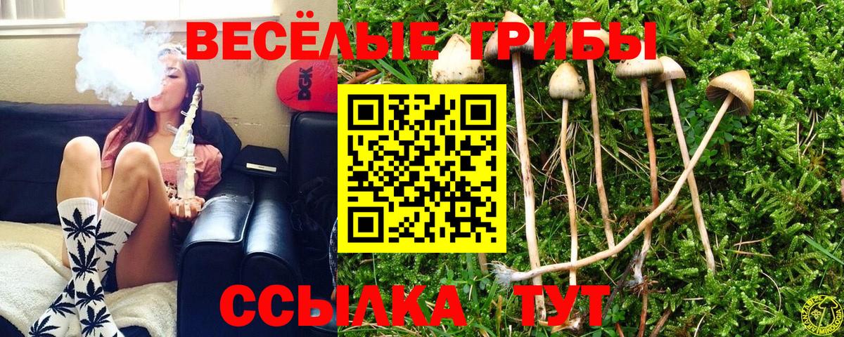 Галлюциногенные грибы мицелий Луга